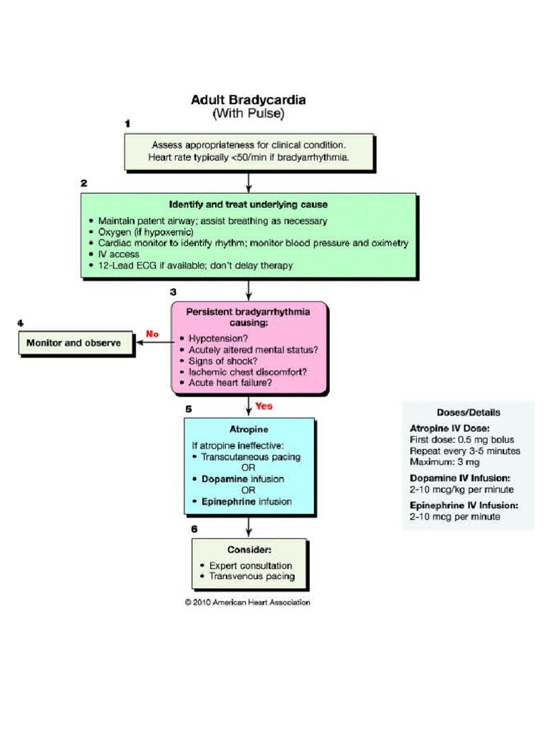 Cara Mengenali Gejala Bradikardia Dini untuk Hindari Komplikasi Parah