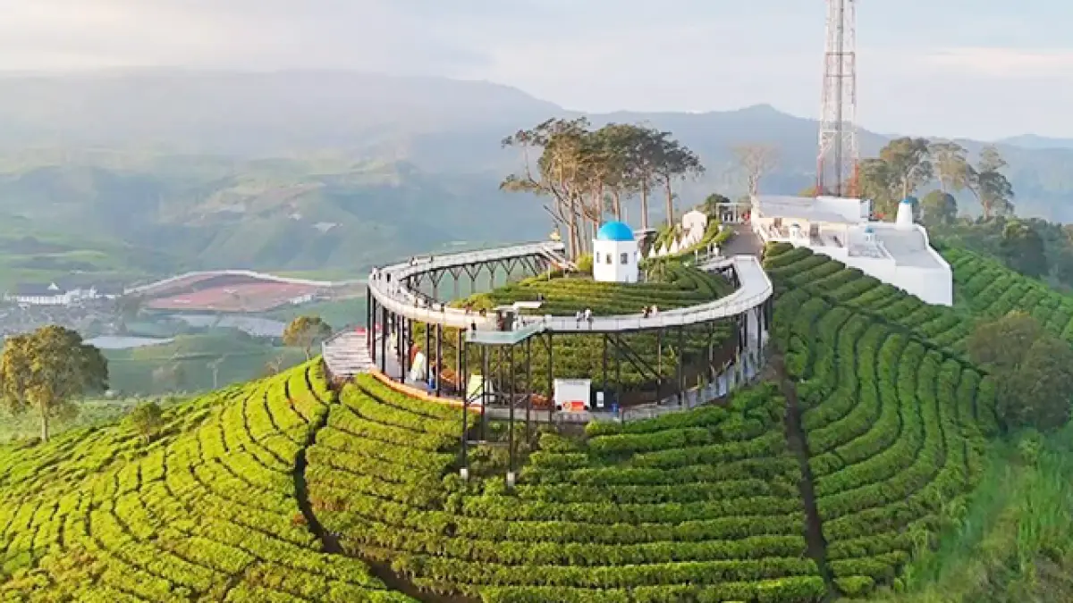 Nimo Highland: Pemandangan 360 Derajat Kebun Teh di Atas Jembatan Kaca