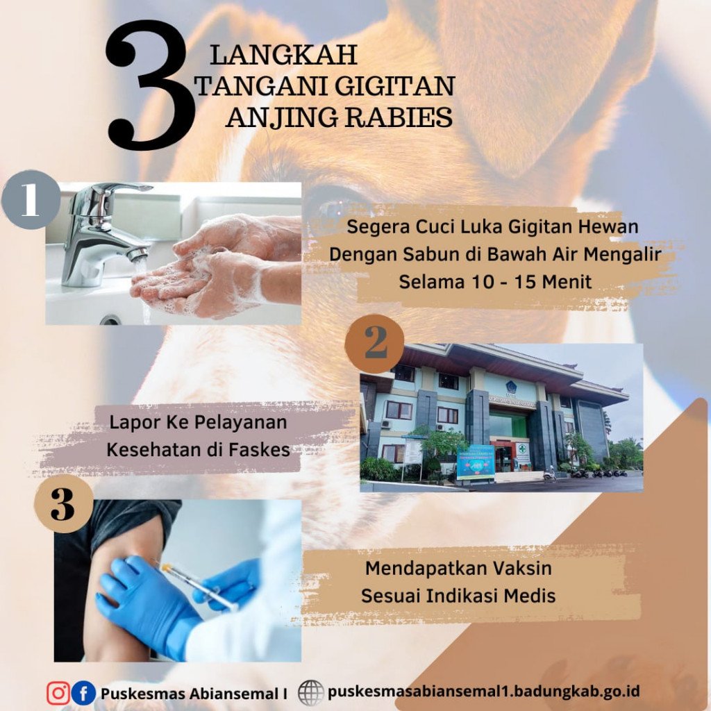Tangani Gigitan Pertama Segera untuk Mencegah Rabies