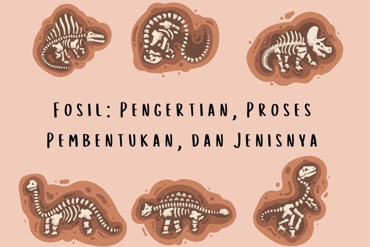 Apa Itu Fosil? Arti, Pembentukan, Jenis, dan Contoh Fosil