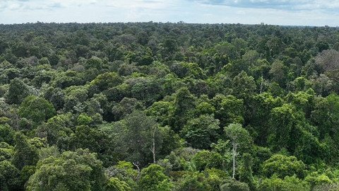 Masalah Relokasi Warga dari Taman Nasional Tesso Nilo