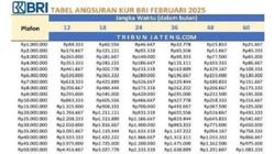 Kembangkan Bisnismu! KUR BRI 2025 Tawarkan Pinjaman Rp85 Juta dengan Cicilan Ringan dan Tenor Fleksibel