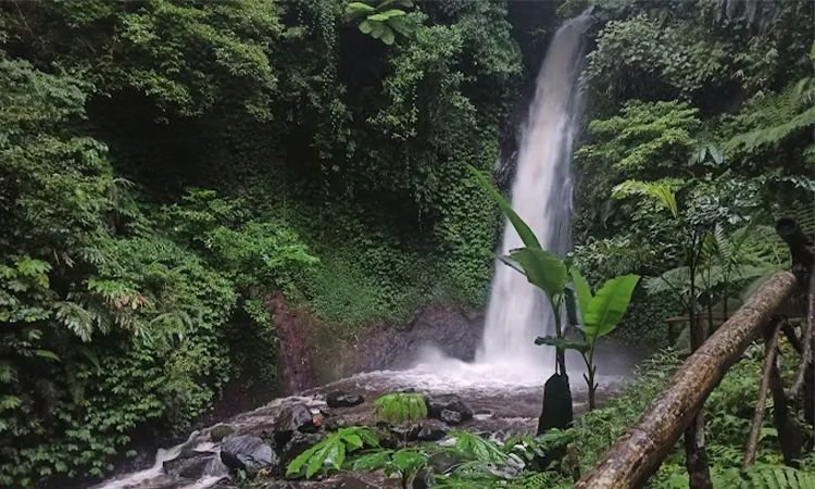 Ini yang Harus Kamu Ketahui Jika Ingin Ke Nganjuk, Mulai dari Kuliner Hingga Wisata Andalan