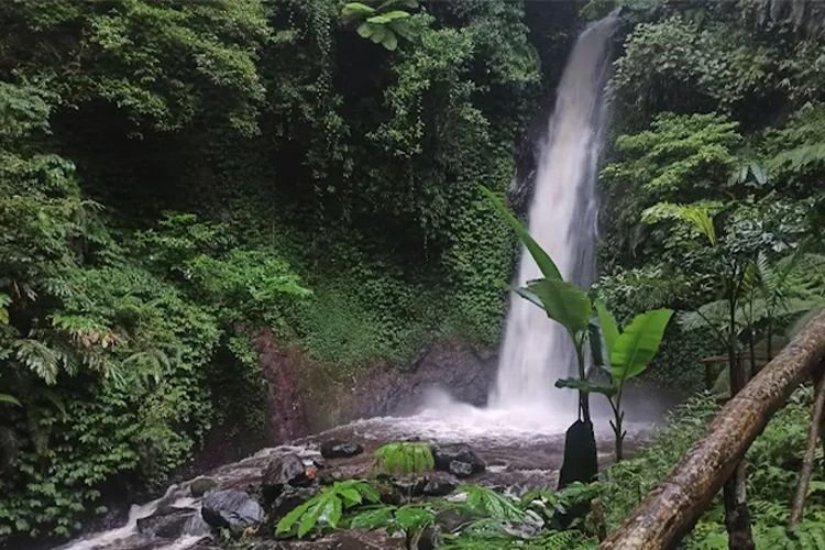 Ini yang Harus Kamu Ketahui Jika Ingin ke Nganjuk, Mulai dari Kuliner Hingga Wisata Terbaiknya
