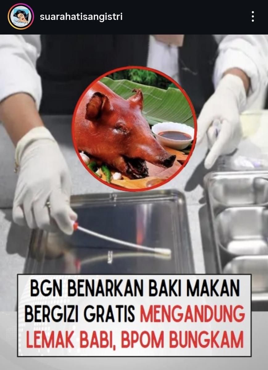 Fakta atau Hoax: BGN Akui Ompreng MBG Mengandung Minyak Babi?