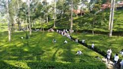 Pikas Banjarnegara dan Tambi Wonosobo Masuk Nominasi Penghargaan Indonesia Hebat 2025