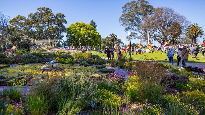 5 Festival Bunga Terbaik di Barat Australia