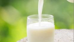 Jangan Tergoda! Ini Tanda Susu Kadaluarsa yang Berbahaya