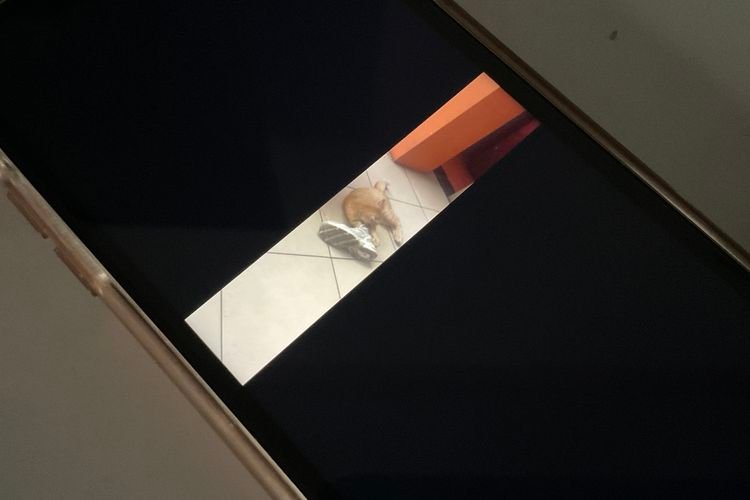 Video Rasio \”Geprek\” Instagram Viral, Ini Cara Buat Reels 5210 x 1080