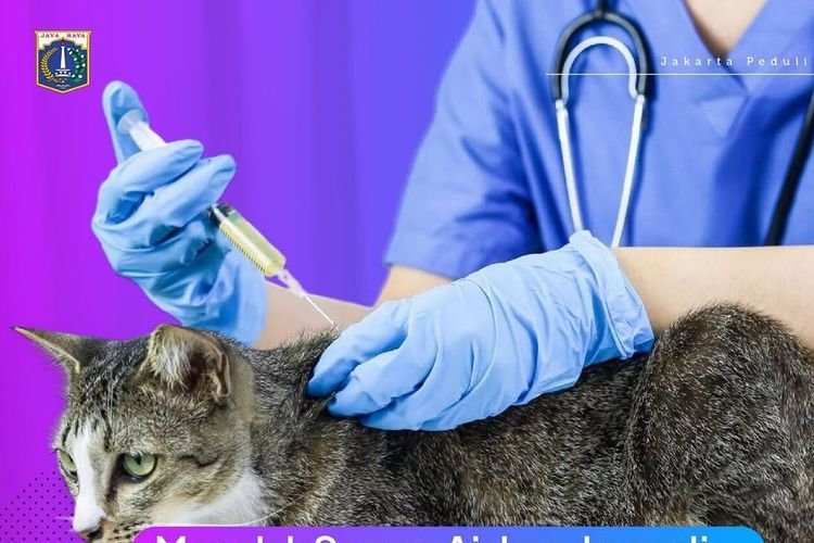 Vaksinasi Rabies Gratis di Jakarta Sampai 31 Oktober, Cek Persyaratan dan Lokasinya