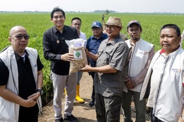 Terapkan Transformasi Pertanian, Indramayu Kurangi Biaya dan Tingkatkan Hasil