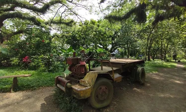 Ini 5 Hal Penting yang Harus Kamu Ketahui Sebelum Berkunjung ke Banyuwangi