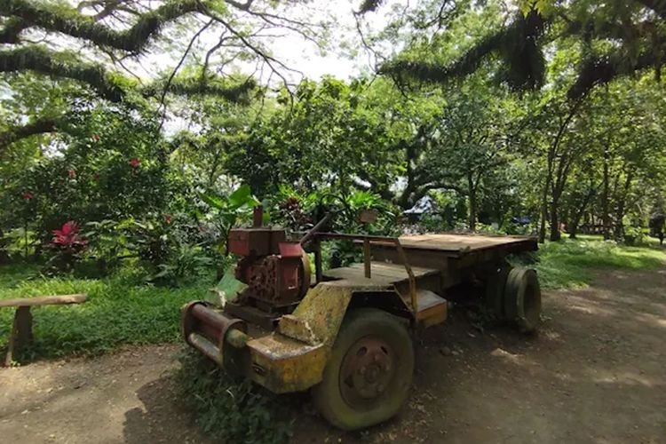 Hal-Hal Penting yang Perlu Diketahui Saat Berkunjung ke Banyuwangi