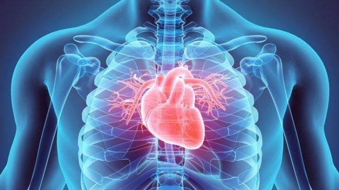 4 Fakta Berbahaya Obesitas pada Kesehatan Jantung, Tingkatkan Gula dan Tekanan Darah