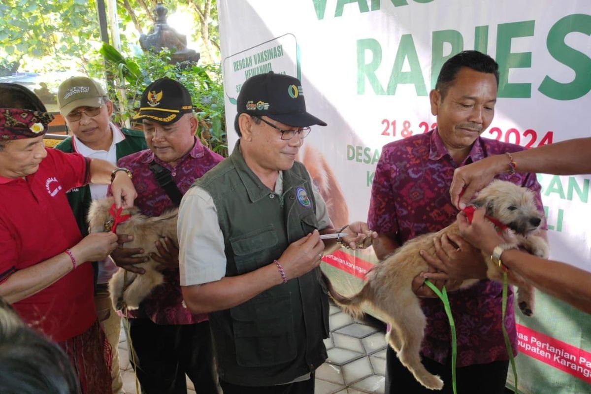 Disnak NTT: Masyarakat Belum Pahami Penyebab Rabies dari Anjing Liar
