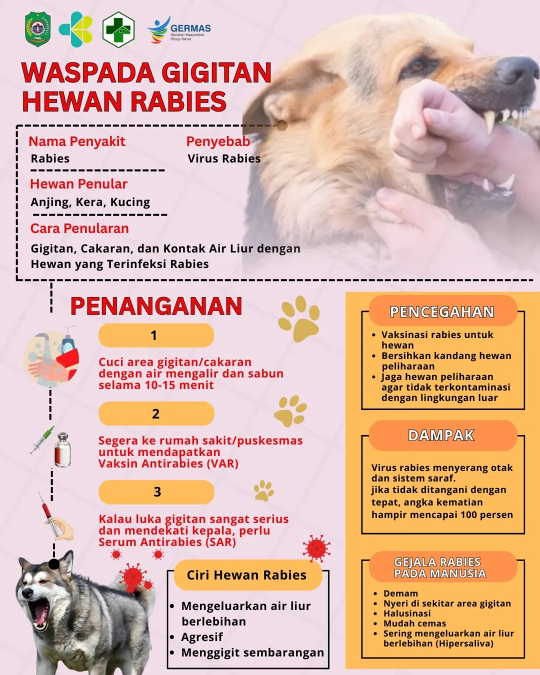 Tiga Hewan Terinfeksi Rabies di Bengkalis Sepanjang 2025