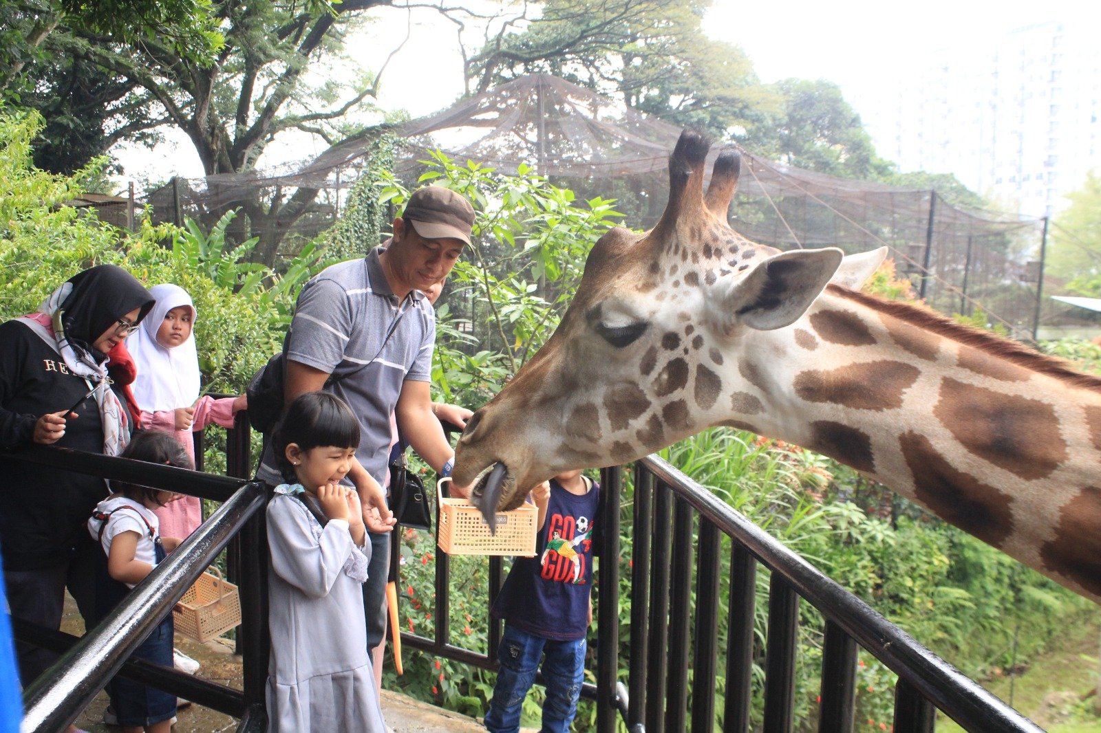 YMT Dukung Keputusan Wali Kota Bandung Kelola Bandung Zoo