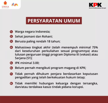 Besaran Gaji Magang untuk Lulusan Baru