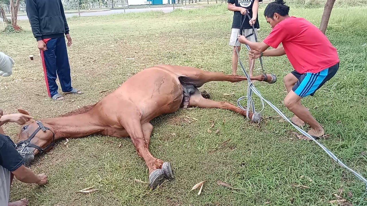 Amalan Jumat Pagi: Doa Rezeki dan Selawat Nabi